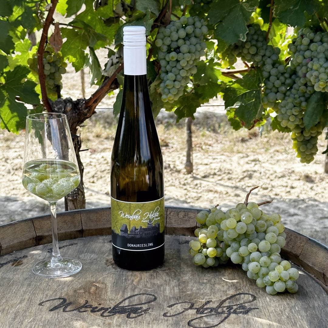weinbau-holzer-franz-und-florian-weingarten-donauriesling